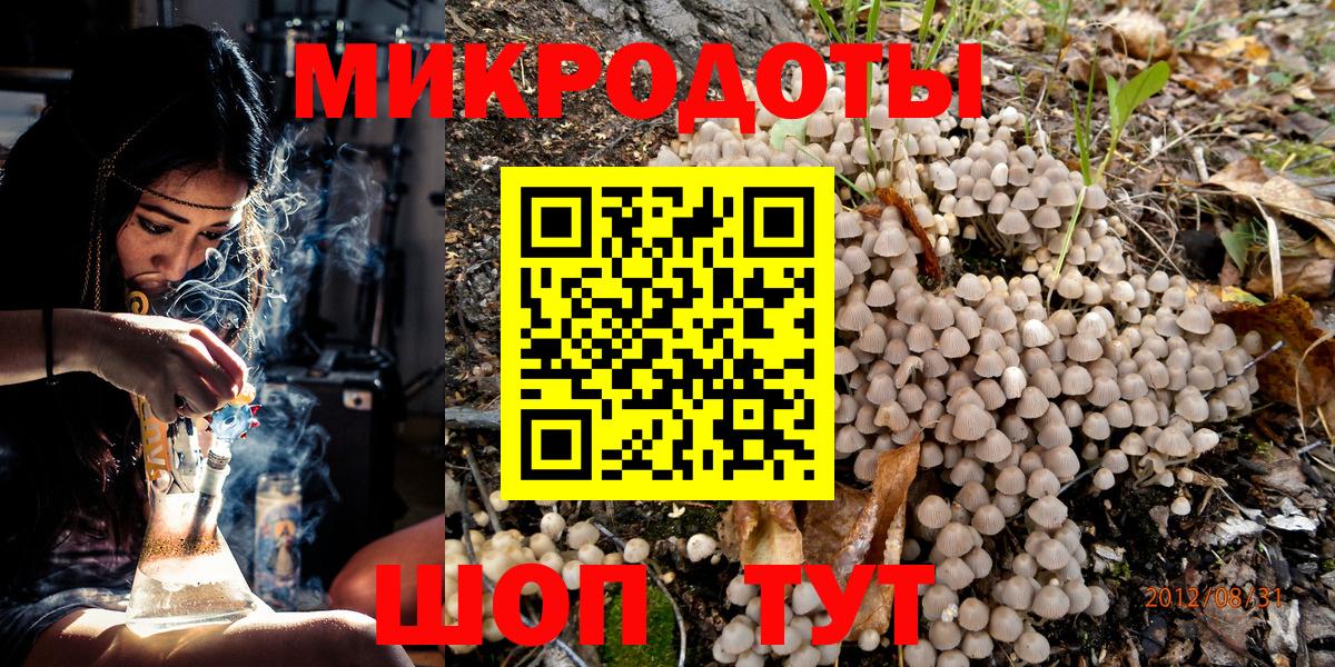 Галлюциногенные грибы Cubensis Жуковский